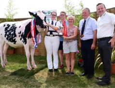 Tullamore Show