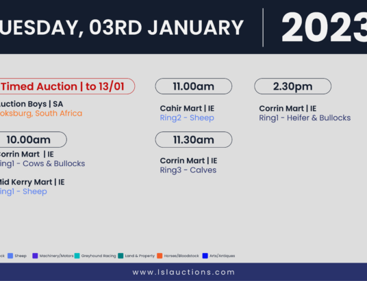 Online Auctions – Tuesday’s Calendar 03/01/2023