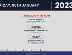 Online Auctions – Friday’s Calendar 06/01/2023