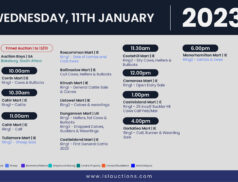 Online Auctions – Wednesday’s Calendar 11/01/2023