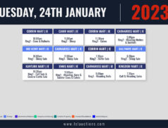 Online Auctions – Tuesday’s Calendar 24/01/2023