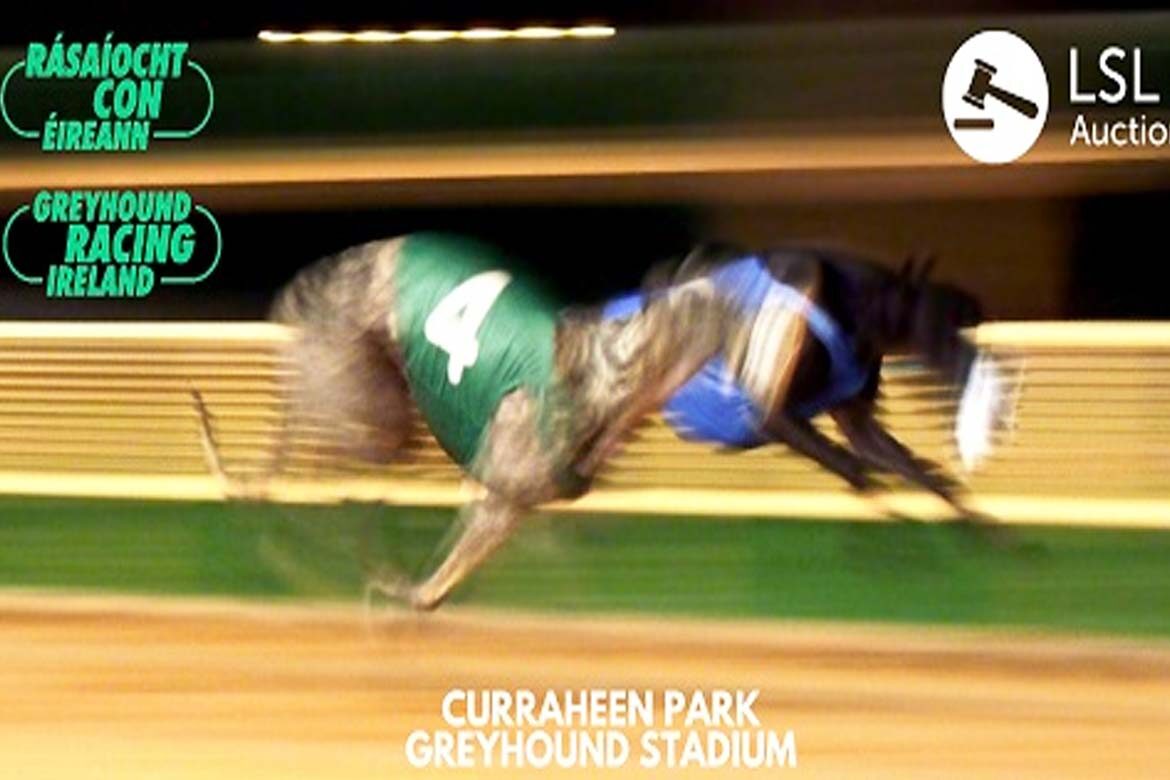 Curraheen Park Greyhound Stadium Ireland