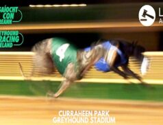 Curraheen Park Greyhound Stadium Ireland