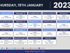 Online Auctions – Thursday’s Calendar 19/01/2023