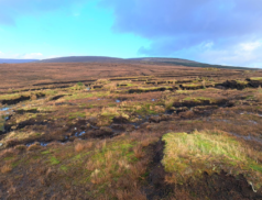 Owenteskiny Glencolumbkille