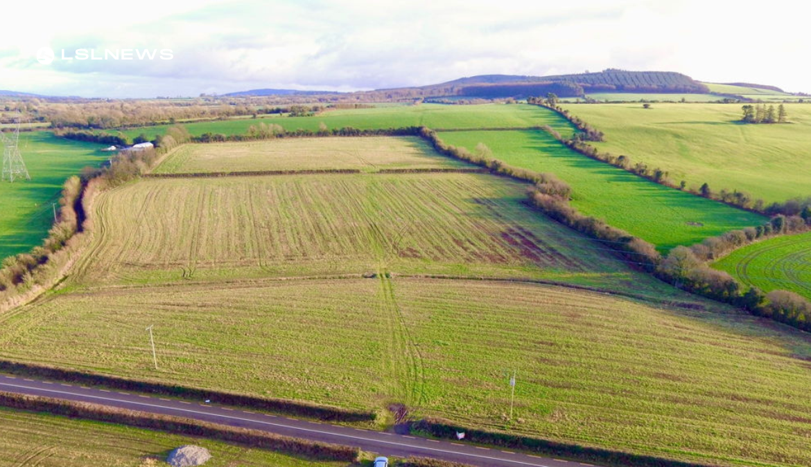 €18,055 per acre: Hennessy Land & Property Auctions Achieves Successful Sale of Prime Agricultural Land in Co. Laois