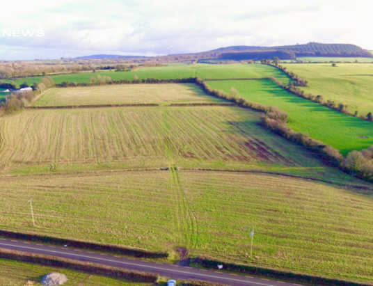 €18,055 per acre: Hennessy Land & Property Auctions Achieves Successful Sale of Prime Agricultural Land in Co. Laois