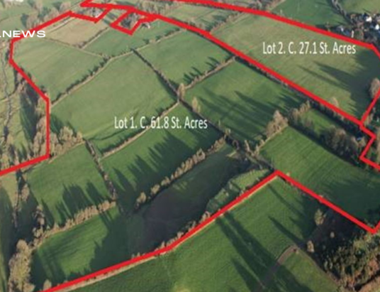 €1.39 Million Sale of Outstanding 89-Acre Roadside Farm at GVM Auctioneers Kilmallock in the Heart of Golden Vale