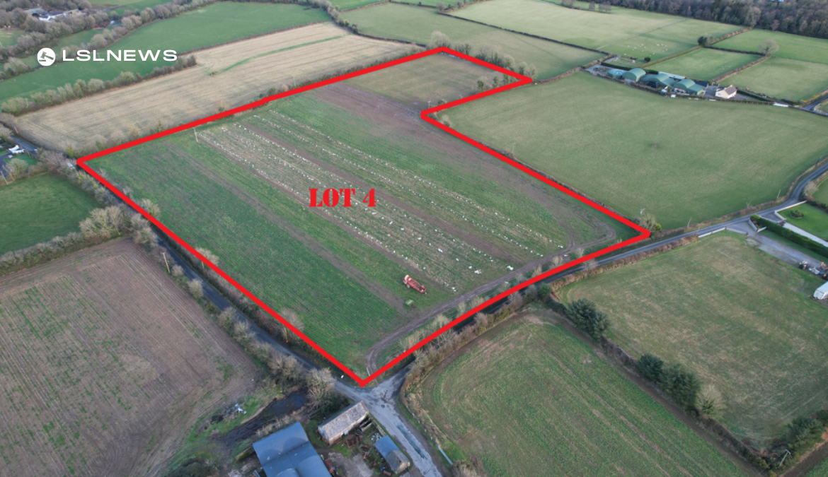 €1 Million and Counting: Successful Auction of Four High-Quality Lots of Land in Forestalstown, Clonroche by Sherry FitzGerald O'Leary Kinsella