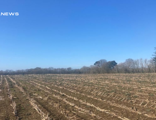 Profitable Investment Opportunity with Lot 1, QUINN PROPERTY - Sweetfarm, Enniscorthy, Co.Wexford | Tuesday, 21st March