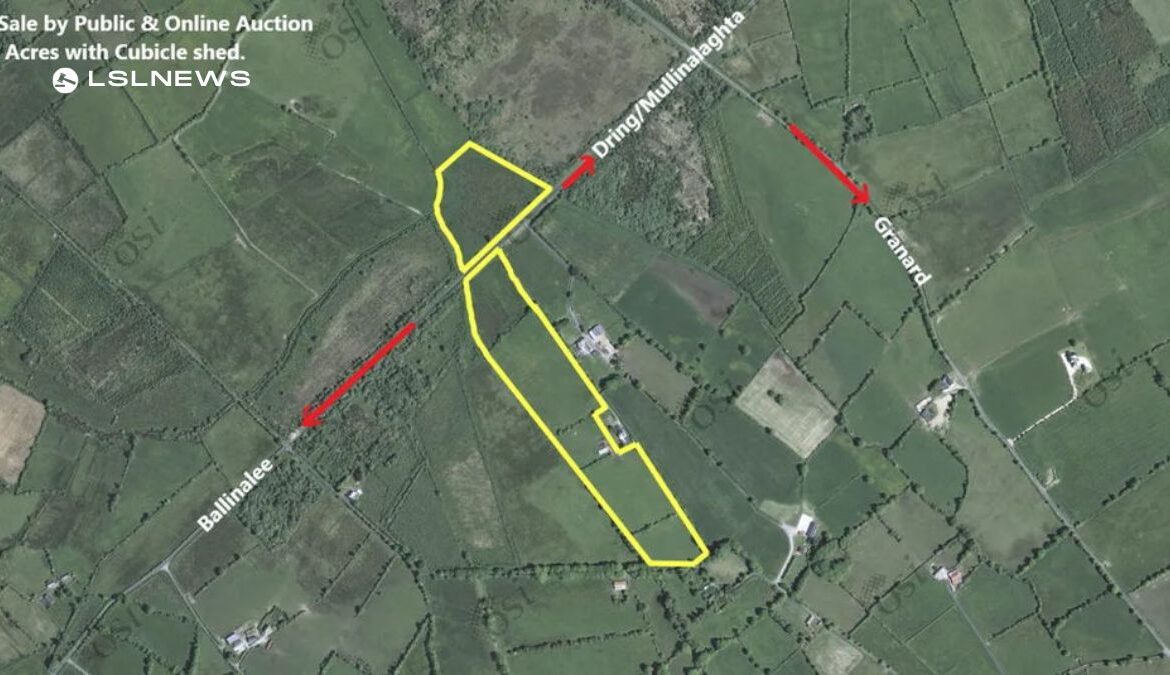 Drake Auctioneering to Sell 21 Acres of Prime Land with Cubicle Shed in Granard - Friday, 14th April