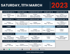 Online Auctions – Saturday’s Calendar 11/03/2023