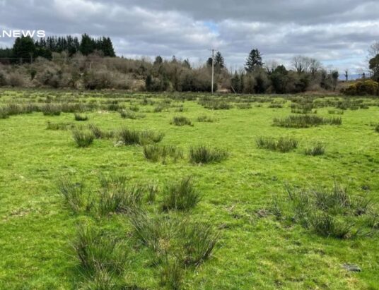 Exceptional 87-Acre Property in Rockchapel, Mallow Co. Cork up for Auction by GVM Auctioneers Limerick on Thursday, 1st June