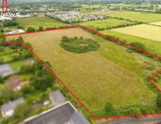 GVM Auctioneers Limerick Sets the Stage for Prime Land Auction in Tipperary on 9th June