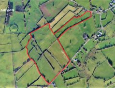 Murtagh Bros Auctioneers Set to Offer a Superb 48-Acre Non-Residential Farm in Milltown, Rathconrath on Thursday, 25th May