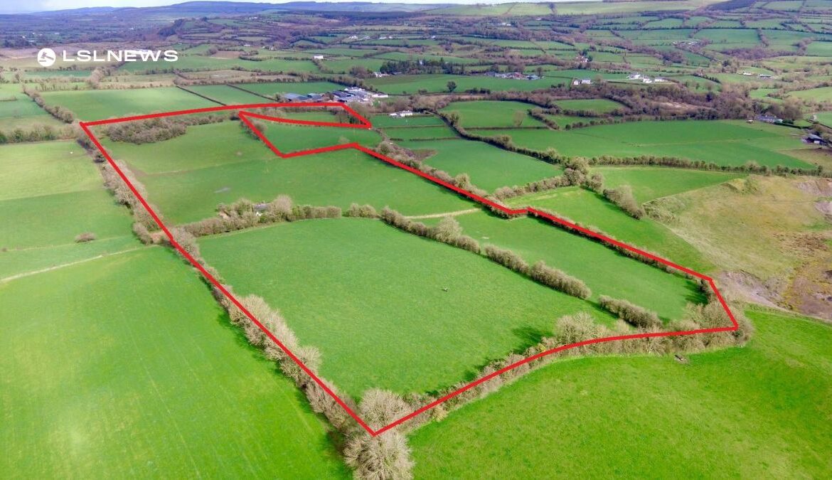 Prime Agricultural Land Auction: Invest in a Circa 25-Acre Block of Grassland in Co. Laois on Friday, 5th May