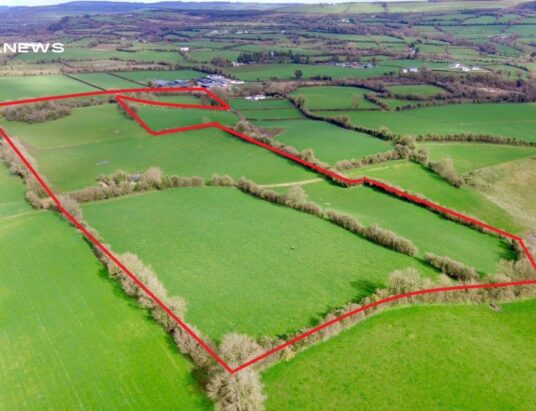 Prime Agricultural Land Auction: Invest in a Circa 25-Acre Block of Grassland in Co. Laois on Friday, 5th May
