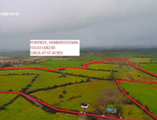 Property in Portboy, Herbertstown, sold for €570,000 by GVM Kilmallock Auctioneers