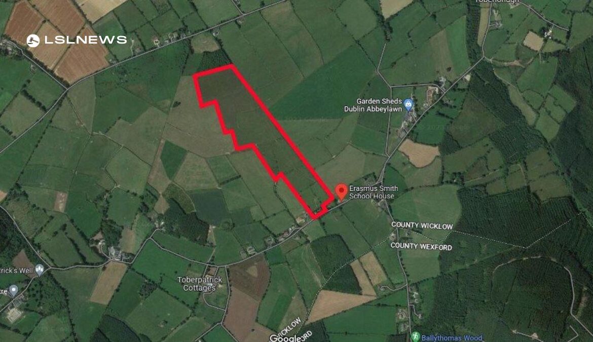 Quinn Property Sells Valuable 49-Acre Holding with Derelict Farmhouse in Wicklow for €630,000