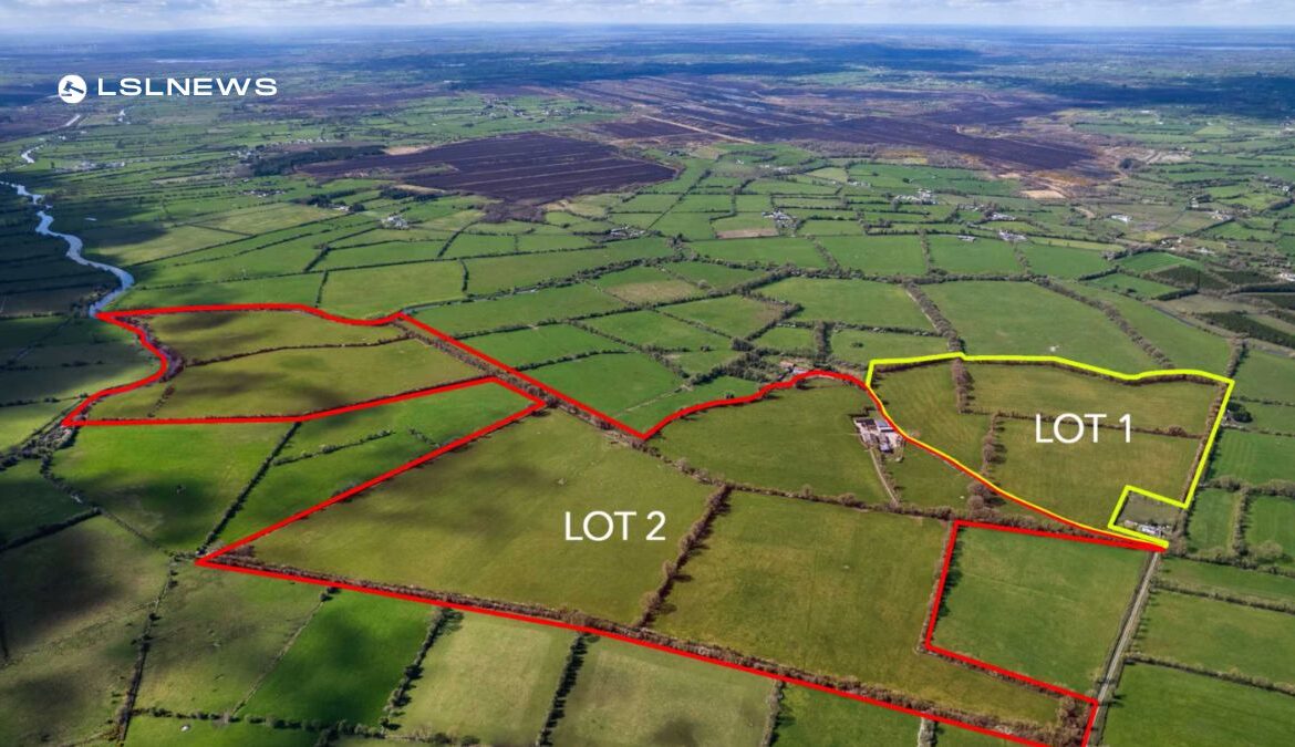 Exceptional 163-Acre Farm with Modern Facilities Goes to Auction on Friday, 16th June: GVM Tullamore Auctioneers Offers Rare Opportunity for Prospective Buyers