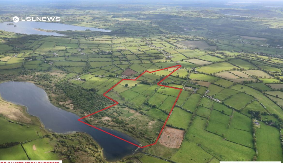 James L Murtagh Auctioneers to Present Prized 88.6-Acre Lakeside Residential Farm in Castlepollard for Online Auction on Thursday, 6th July
