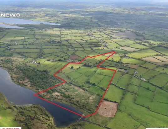 James L Murtagh Auctioneers to Present Prized 88.6-Acre Lakeside Residential Farm in Castlepollard for Online Auction on Thursday, 6th July