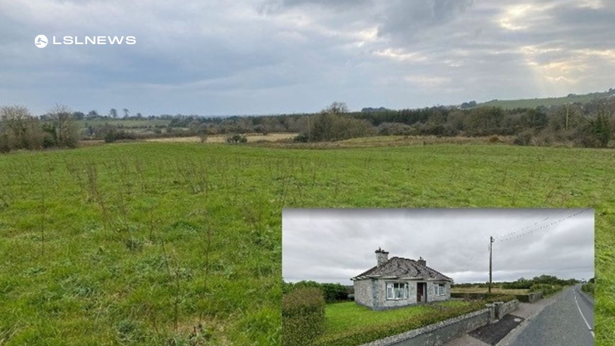 €646,000 under hammer Thriving Online Property Auction REA TE