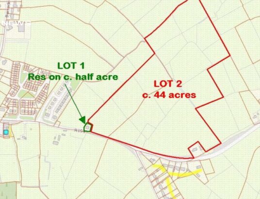 REA TE Potterton brings a Prime Non-Residential Lands Spanning 44 Acres Up for Auction in Co. Longford on Wednesday, 31st May