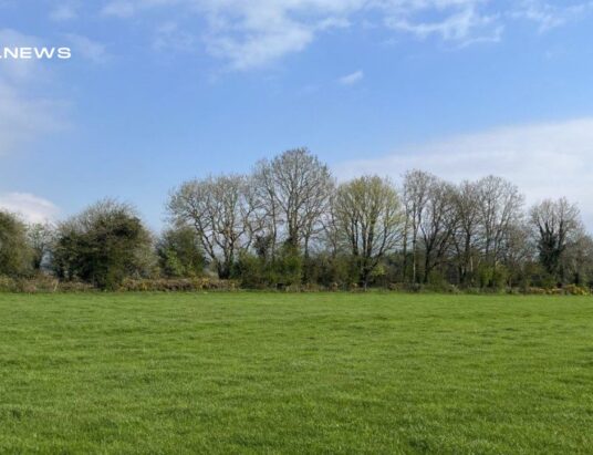 Quinn Property Unveils a Rare Opportunity: Exceptional 23.4-Acre Holding in Rathnagrew Up for Online Auction – Seize Your Chance to Own a Piece of Rural Idyll