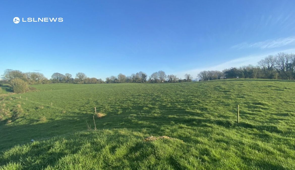 REA TE Potterton Brings to Auction 17 Acres of Non-Residential Lands in Clonyn, Delvin, Co. Westmeath | Monday, 29th May