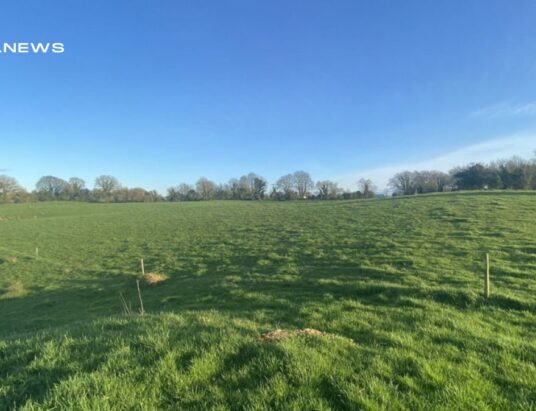 REA TE Potterton Brings to Auction 17 Acres of Non-Residential Lands in Clonyn, Delvin, Co. Westmeath | Monday, 29th May