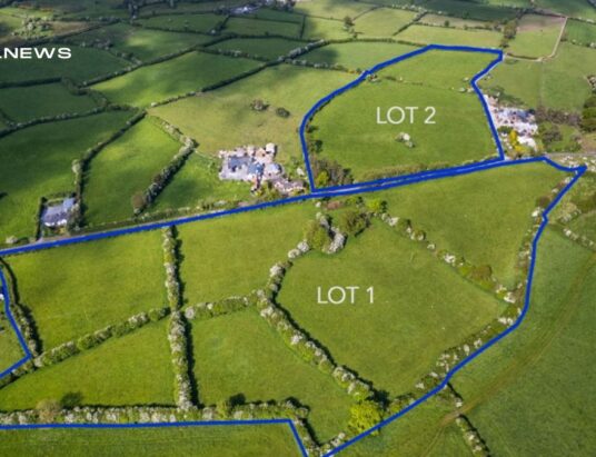 Connaughton Auctioneers: Prime Lands in Galway for Auction on Thursday 29th June