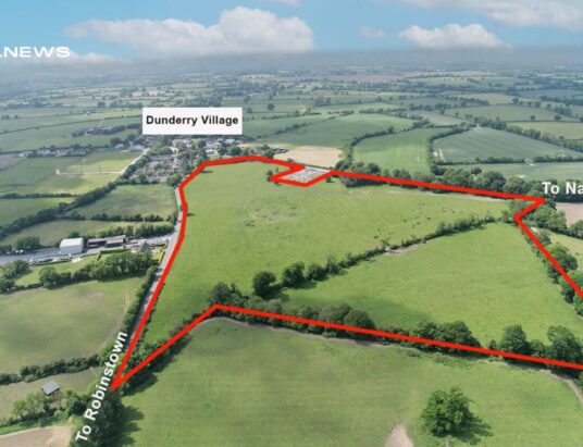 Exceptional 36-Acre Non-Residential Farm in Meath Up for Auction on July 18th, 2023