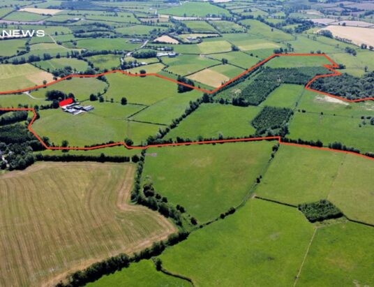 Former Dairy Farm Spanning 127-Acres in Tang, Co. Westmeath Heads to Auction with James L Murtagh on 21st July
