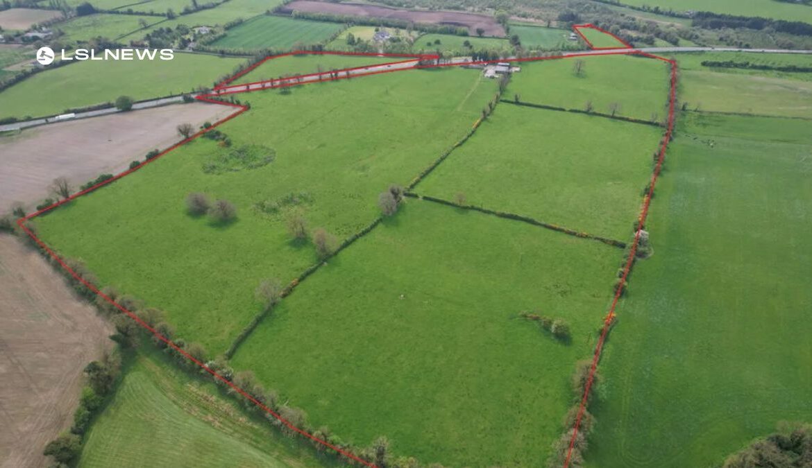 SOLD FOR €15,303 per Acre | LSL Auctions Congratulates Tormey Auctioneers on Successful Sale of Prime Land in Bunbrosna