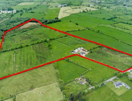 Prime 42-Acre Agricultural Holding by Murtagh Bros: Register by 7th July for the Upcoming Auction
