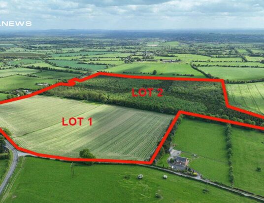 Prime Non-Residential Farm and Productive Forestry Set for Landmark Auction on 27th June by Raymond Potterton
