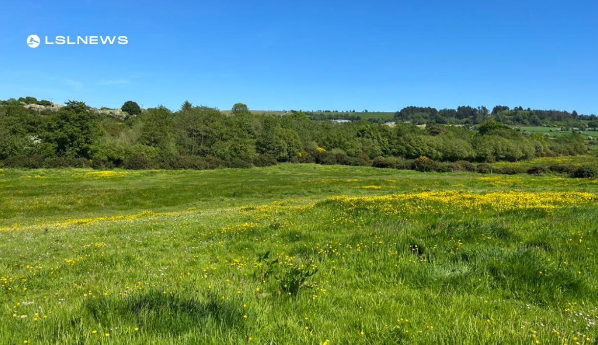 Quinn Property Brings to Auction on 21st July, a Valuable 10 Acre Roadside Holding in Ticknock, Oulart, Gorey, Co. Wexford