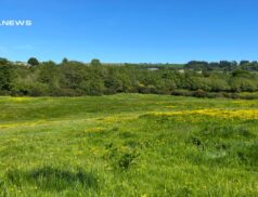 Quinn Property Brings to Auction on 21st July, a Valuable 10 Acre Roadside Holding in Ticknock, Oulart, Gorey, Co. Wexford