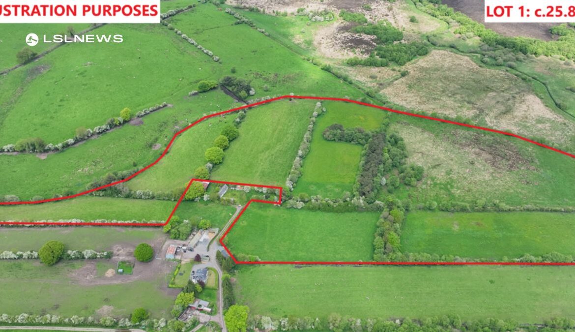 Rare Opportunity: James L. Murtagh Auctioneers Present an Exceptional Expanse of Land for Public Auction, Featuring Diverse Lots of Unparalleled Quality and Potential in Mullingar, Co. Westmeath