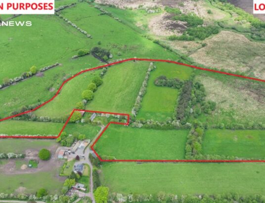 Rare Opportunity: James L. Murtagh Auctioneers Present an Exceptional Expanse of Land for Public Auction, Featuring Diverse Lots of Unparalleled Quality and Potential in Mullingar, Co. Westmeath