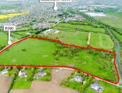 SOLD FOR €25,357 per Acre | LSL Auctions Celebrates with Murtagh Bros the Remarkable Sale of Exquisite Charlestown Property in Thrilling Online Auction