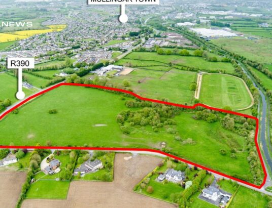 SOLD FOR €25,357 per Acre | LSL Auctions Celebrates with Murtagh Bros the Remarkable Sale of Exquisite Charlestown Property in Thrilling Online Auction