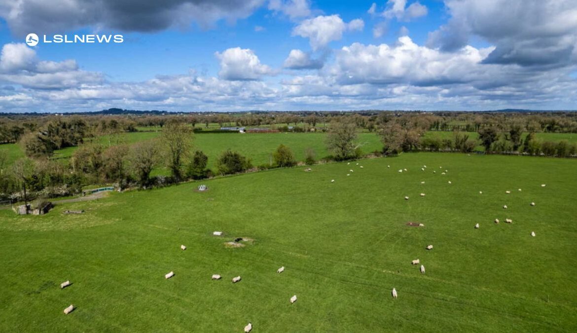 Spectacular Success for GVM Property Tullamore at LSL Auctions: Prime Farm Sells for Over €1.7m