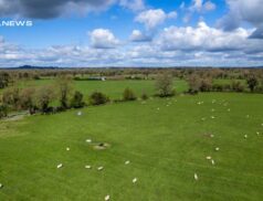 Spectacular Success for GVM Property Tullamore at LSL Auctions: Prime Farm Sells for Over €1.7m