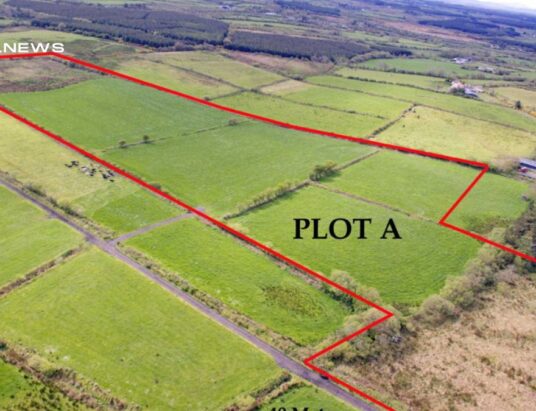 Stunning Parcel of Co. Mayo Land Set for Auction on Friday, 23rd June: A Golden Opportunity Amid Rich History and Breathtaking Scenery