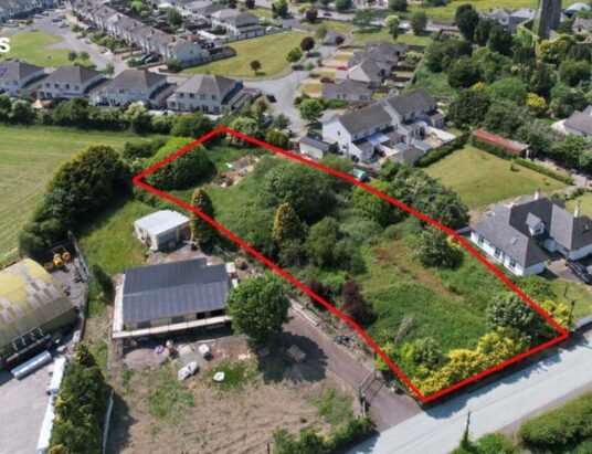 A Unique Auction Opportunity Beckons: Ballyhealy Road Site in Delvin on Offer by Raymond Potterton