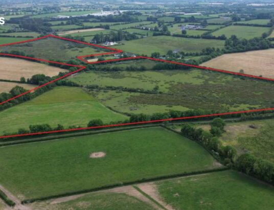 Hennessy Land Property Auctions: A Unique Opportunity to Acquire Agricultural Land in Co. Laois