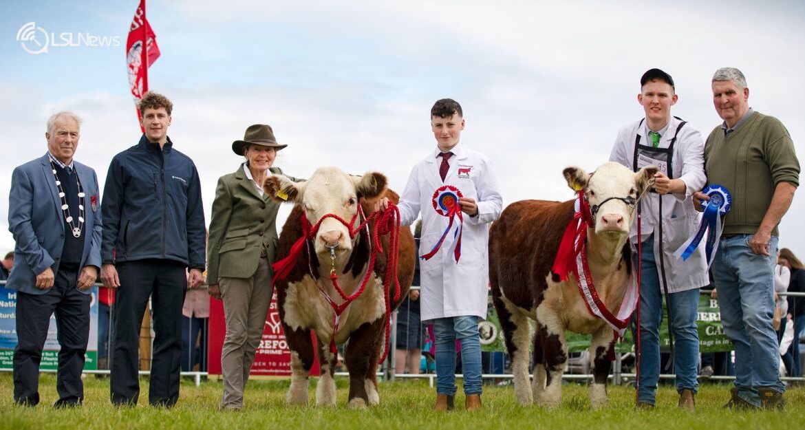 Hereford Autumn Show & Sale 2023: Key Dates and Details