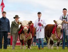 Hereford Autumn Show & Sale 2023: Key Dates and Details